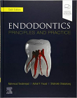 دانلود کتاب اصول اندودنتیکس ترابی نژاد Endodontics: Principles and Practice 6th Edition