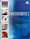 دانلود رایگان کتاب Endodontics Principles and Practice, 4e